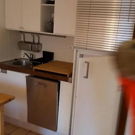 4 Personnes Rdc Avec Jardin Et Parking Sous Terrain Samoëns